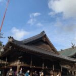 日々のあれこれ再開